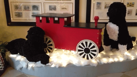 Bo-Bot and Sunny-Bot animation