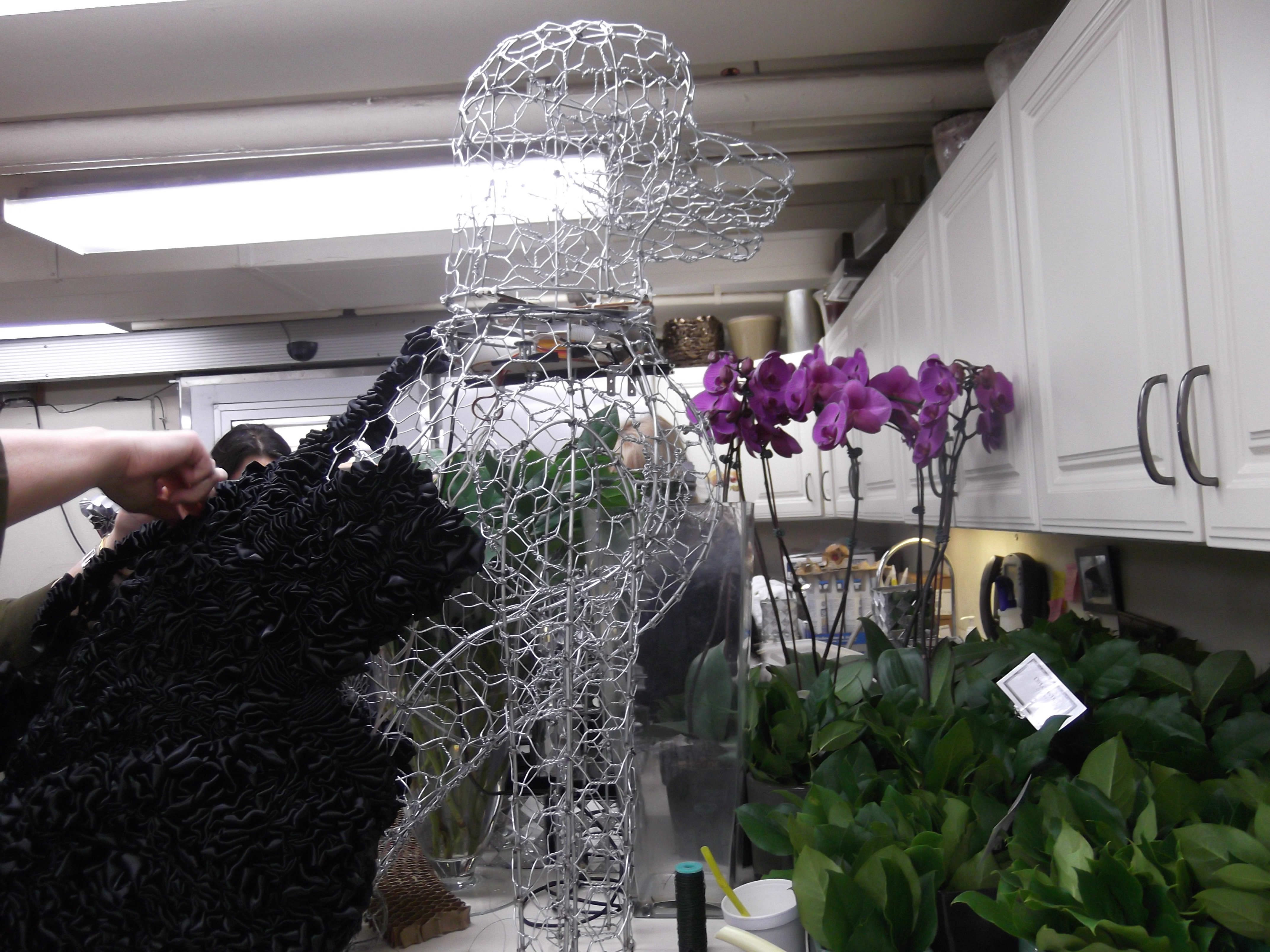 Building the dog-bots