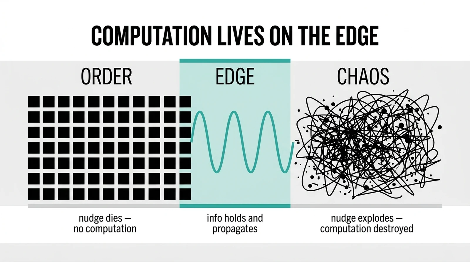 Order (nudge dies), edge (info propagates), chaos (nudge explodes) — computation lives on the edge