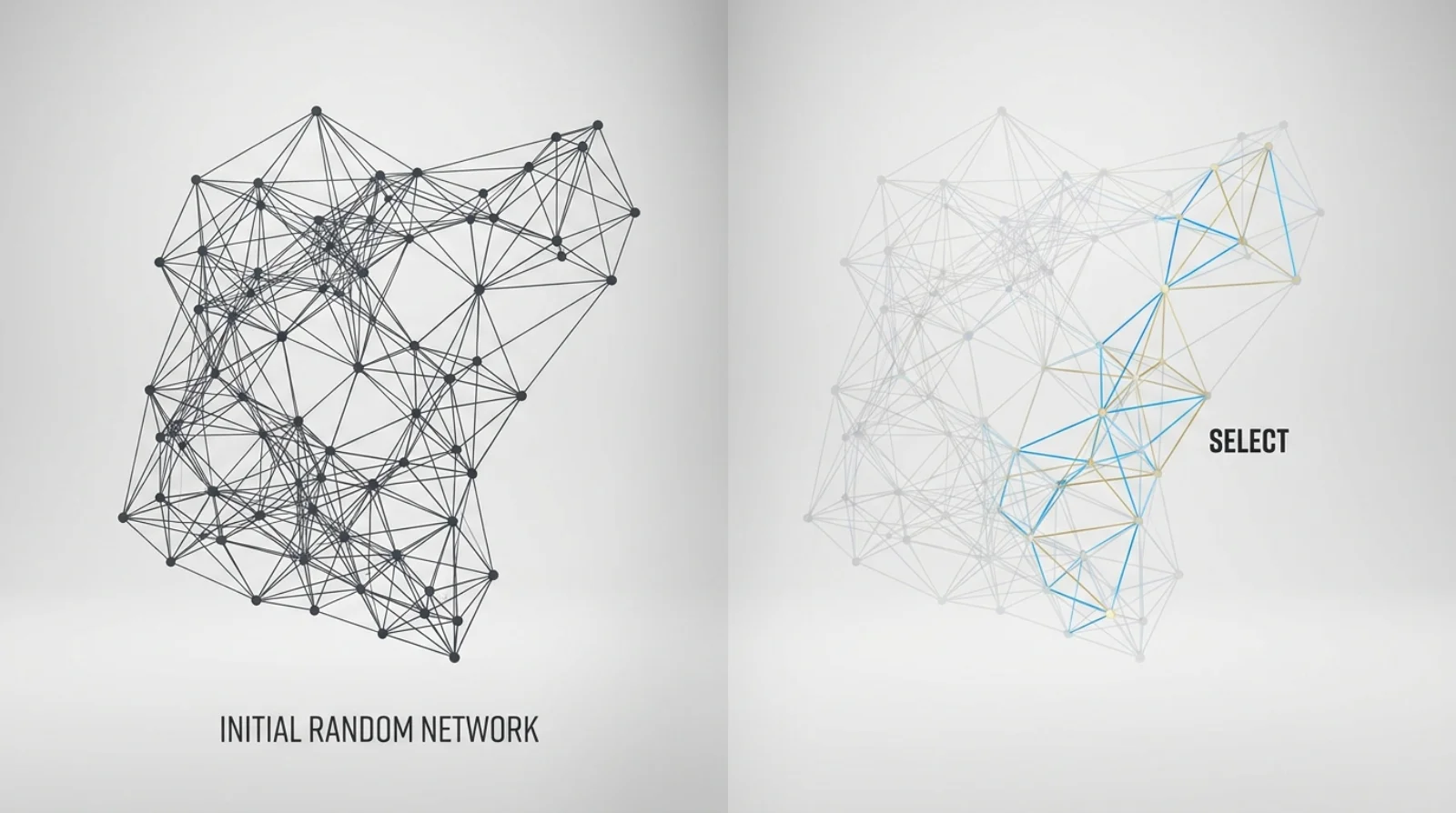 Training finds a sparse winning ticket already latent in the random network
