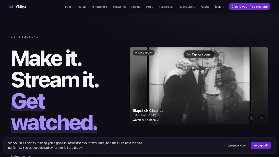Vidiyo screenshot